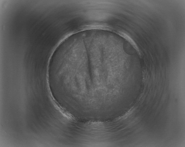 X0000073411043200608181050