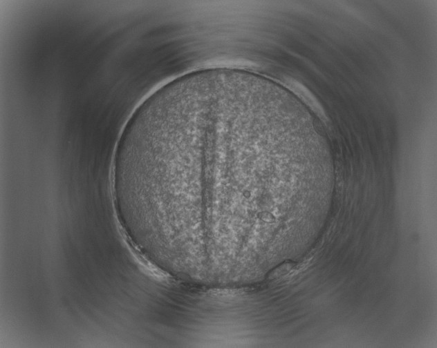 X0000073411044200608181050