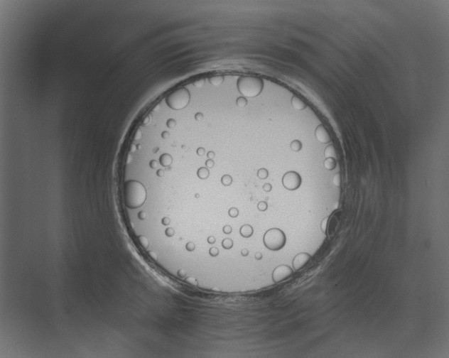 X0000073411045200608181050