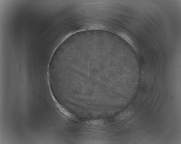 X0000073411047200608181050