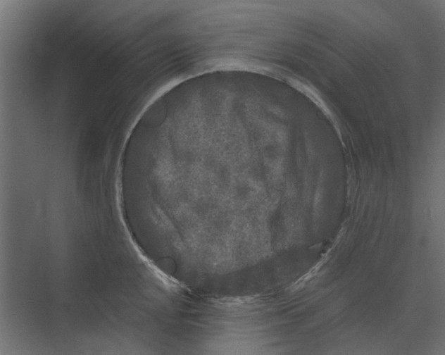 X0000073411048200608181050