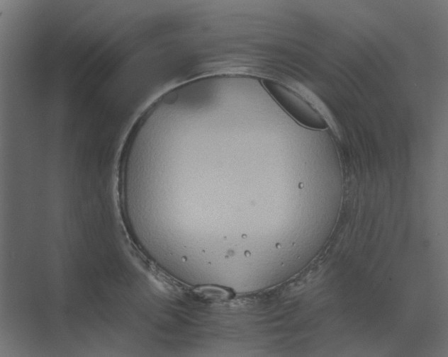 X0000073411051200608181050