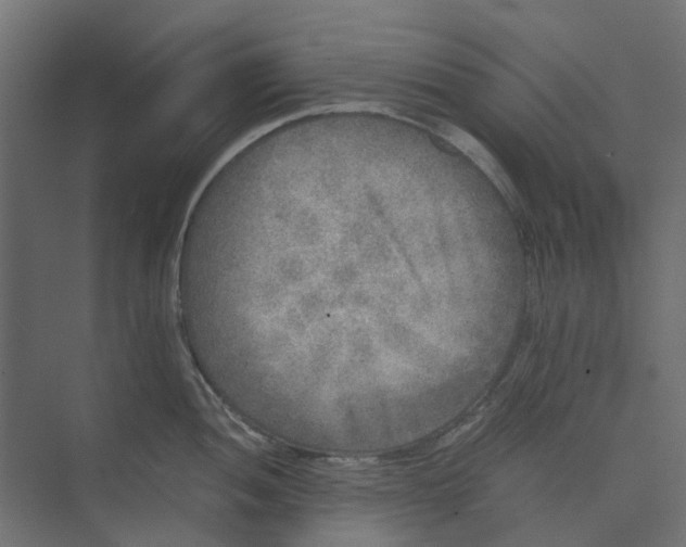 X0000073411052200608181050