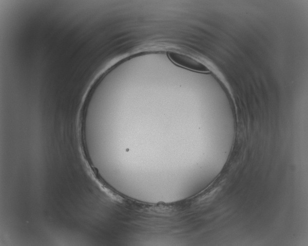 X0000073411053200608181050