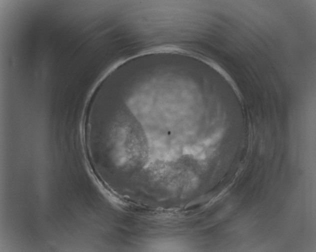 X0000073411054200608181050