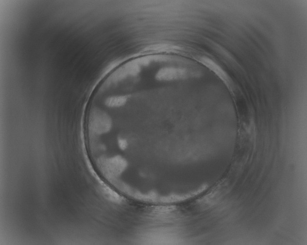 X0000073411055200608181050