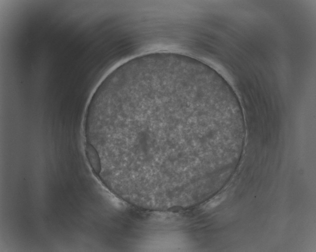 X0000073411056200608181050