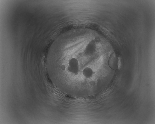 X0000073411059200608181049