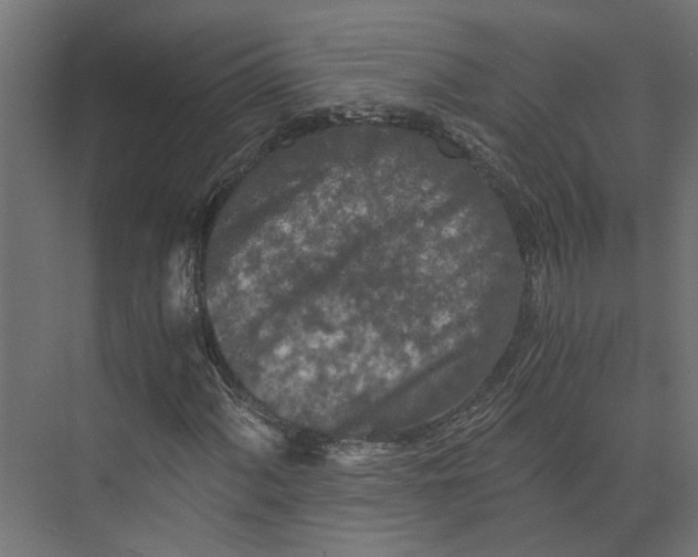 X0000073411060200608181049