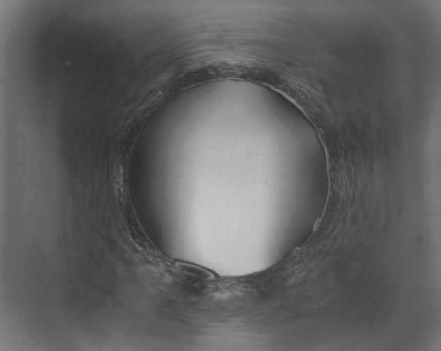 X0000073411061200608181049