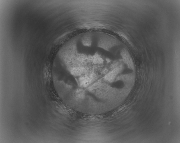 X0000073411063200608181049