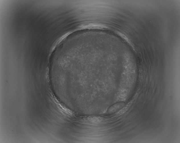 X0000073411066200608181049