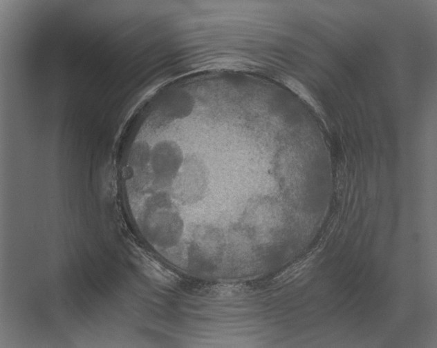 X0000073411067200608181049