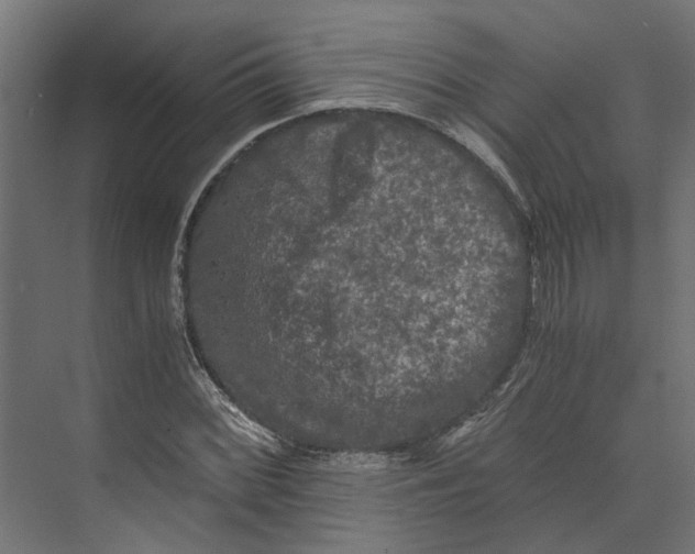 X0000073411068200608181049