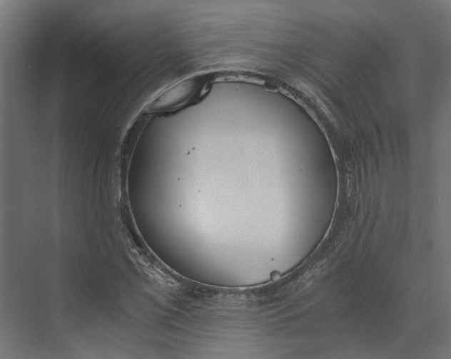 X0000073411069200608181049