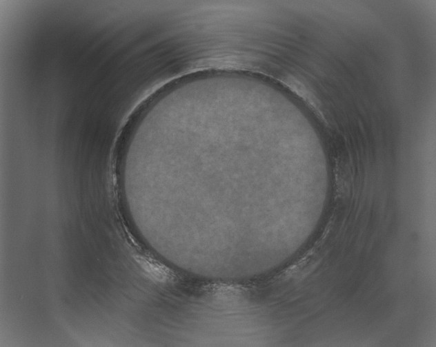 X0000073411070200608181049