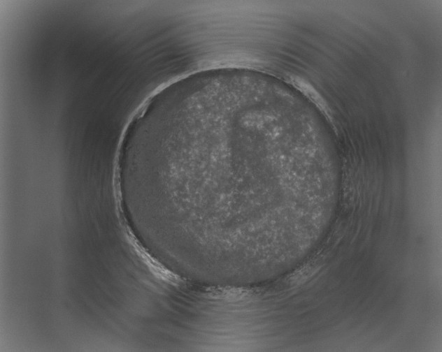 X0000073411072200608181049