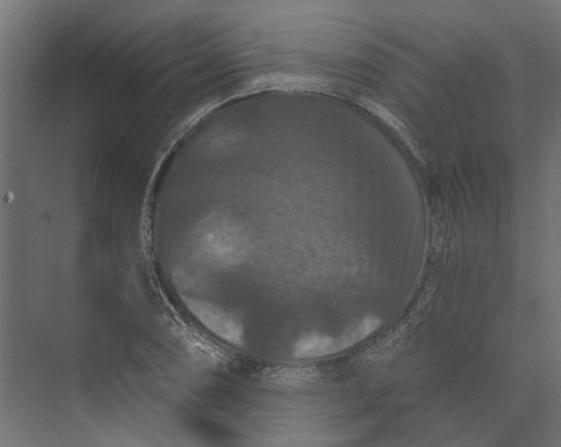 X0000073411074200608181049