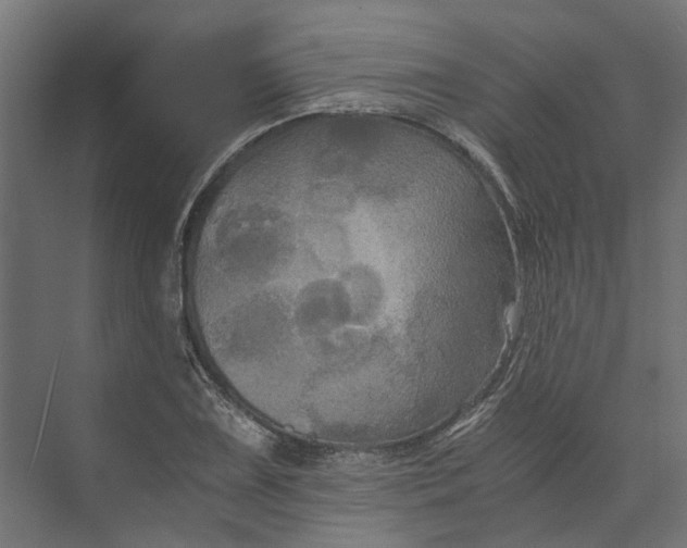 X0000073411075200608181049