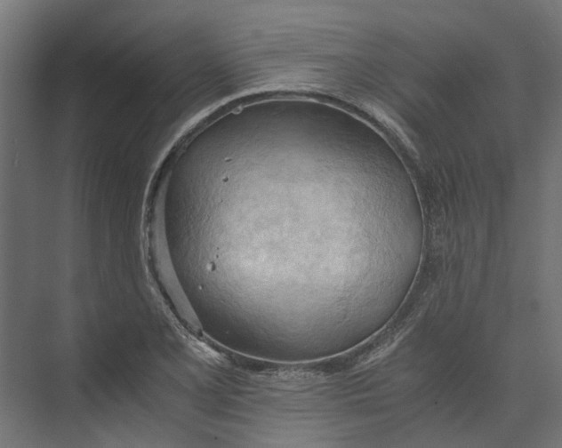 X0000073411077200608181049