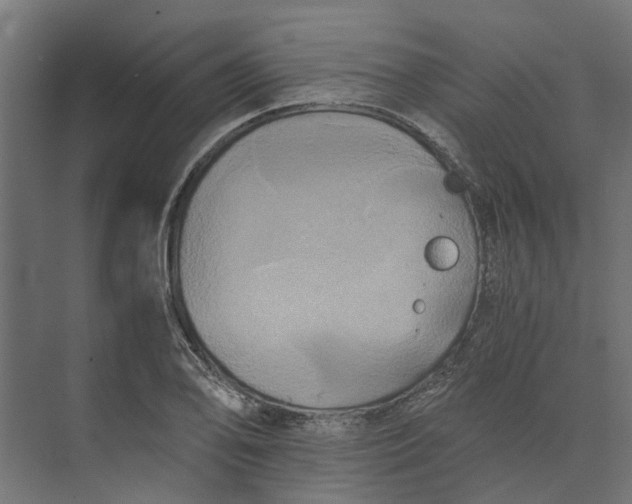 X0000073411078200608181049