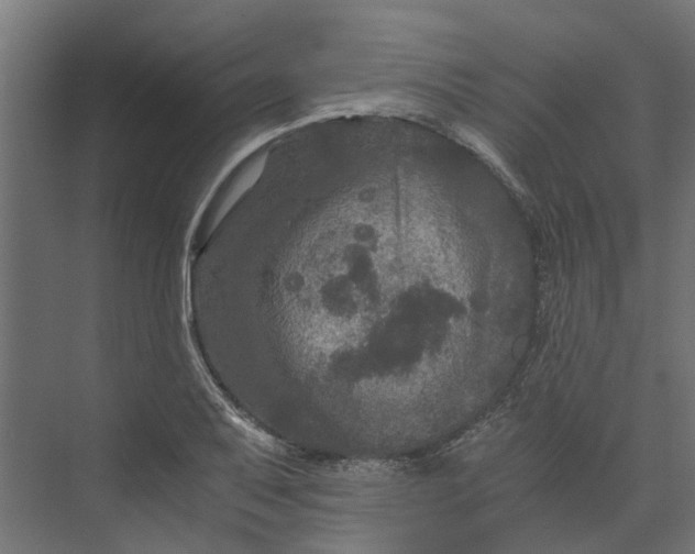 X0000073411079200608181049