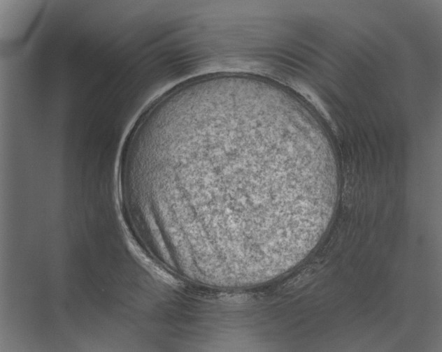 X0000073411080200608181049