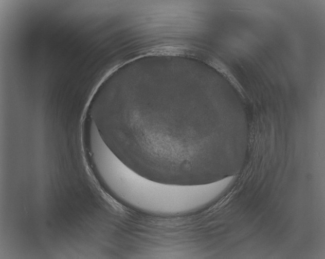 X0000073411083200608181049