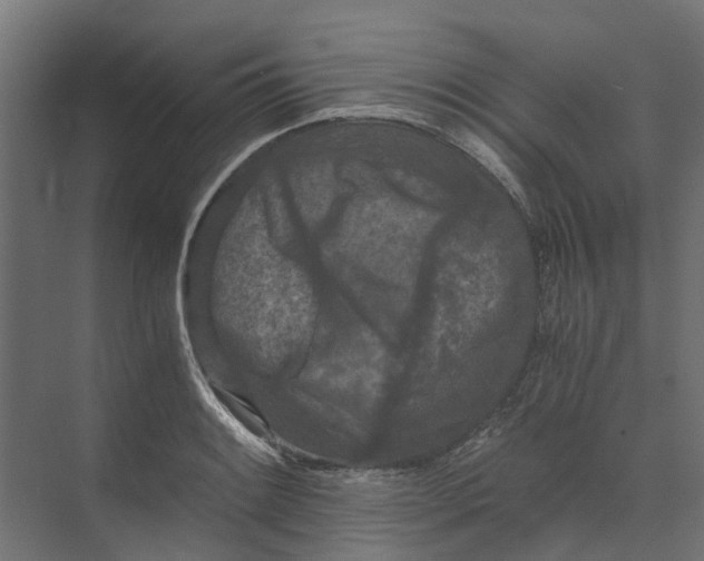 X0000073411084200608181049