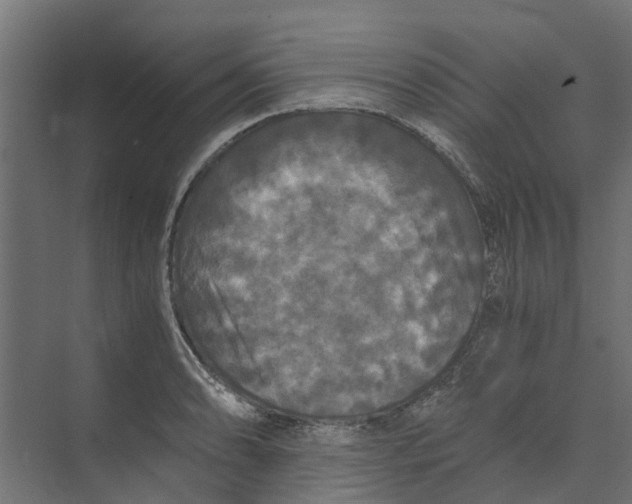 X0000073411086200608181049