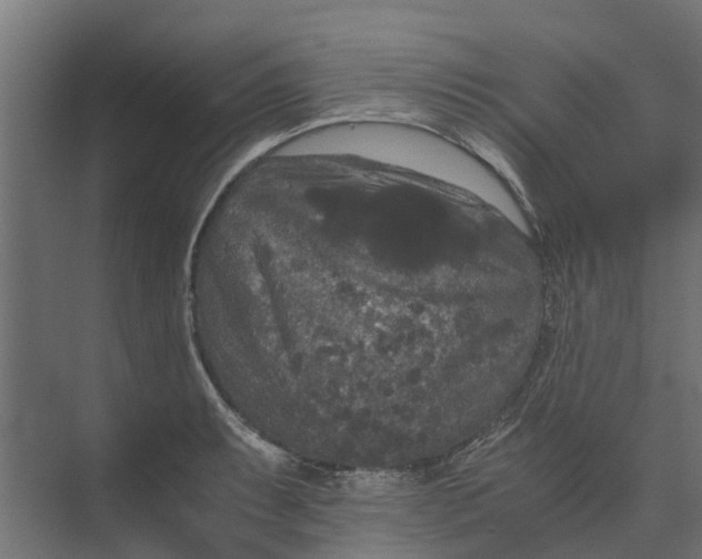 X0000073411087200608181049