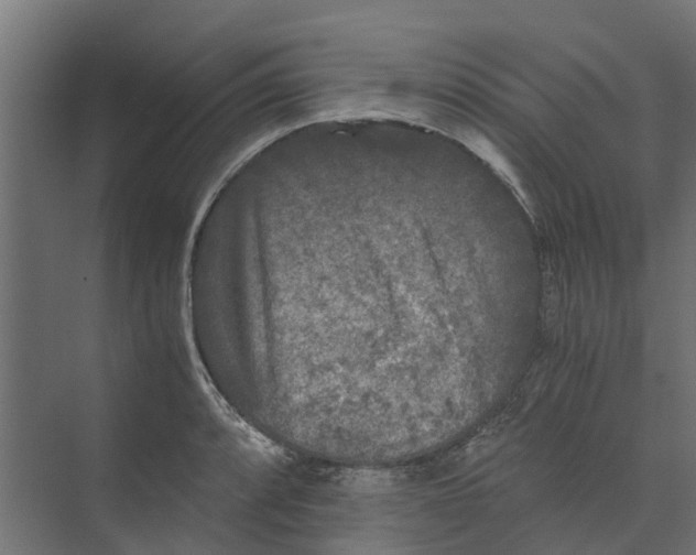 X0000073411088200608181049