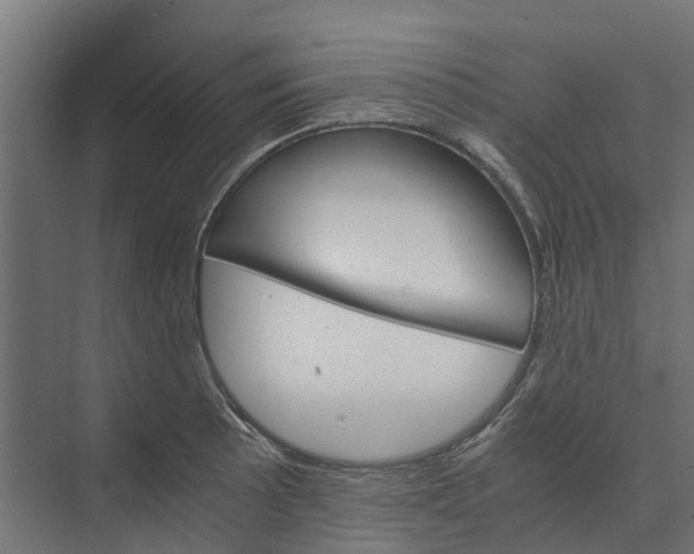 X0000073411089200608181049