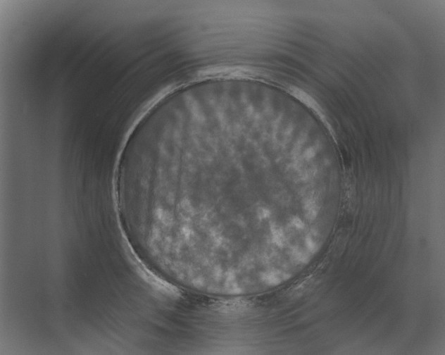 X0000073411090200608181049