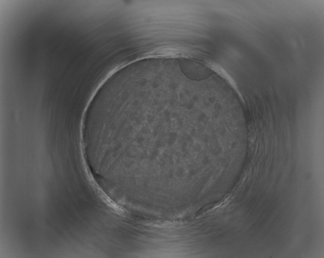 X0000073411091200608181049