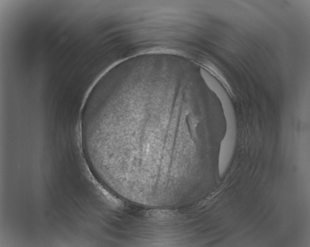 X0000073411092200608181049