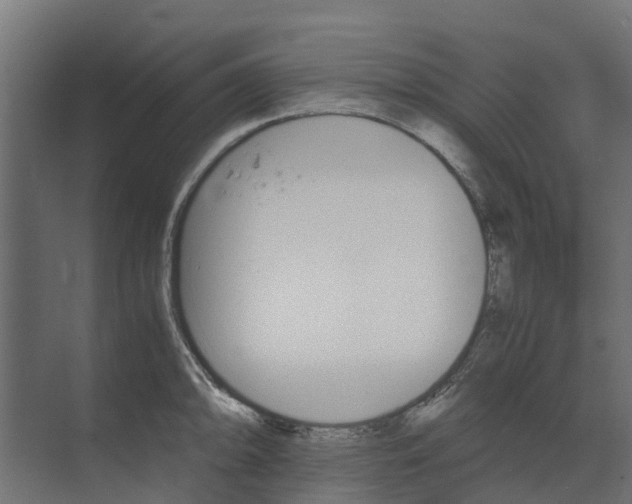 X0000073411094200608181049