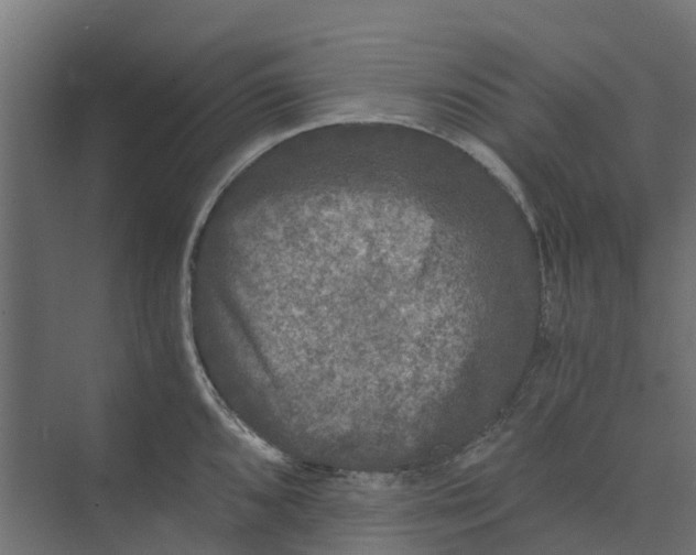 X0000073411096200608181049