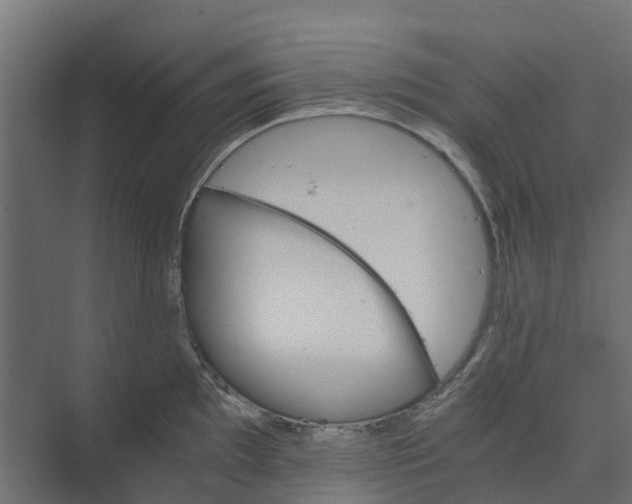 X0000073411097200608181049