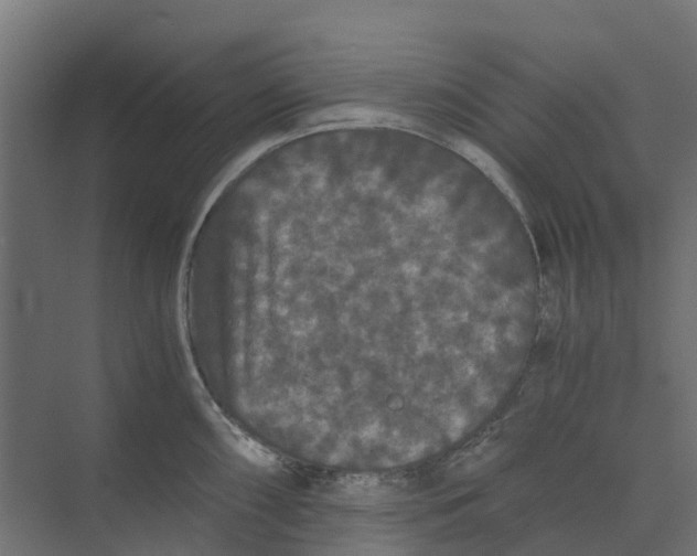 X0000073411098200608181049