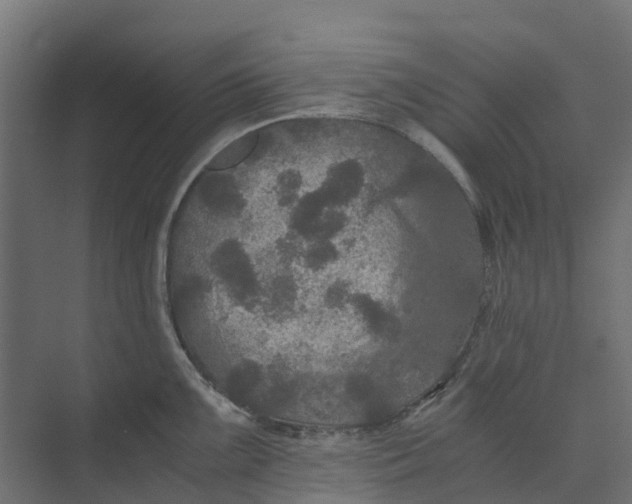 X0000073411099200608181049