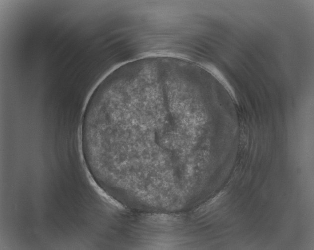 X0000073411100200608181049