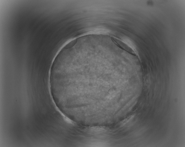 X0000073411103200608181049