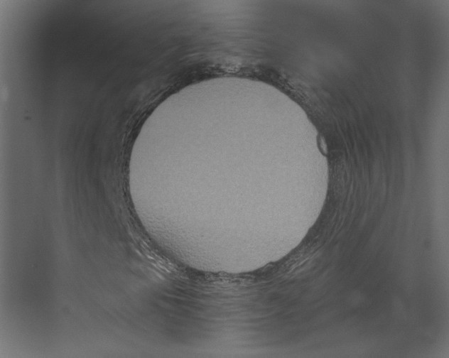 X0000073411105200608181048