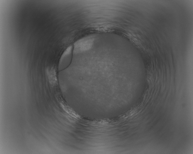 X0000073411106200608181048