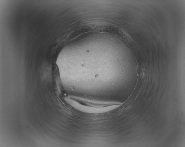 X0000073411108200608181048