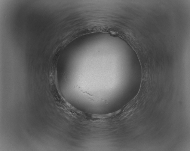 X0000073411109200608181048