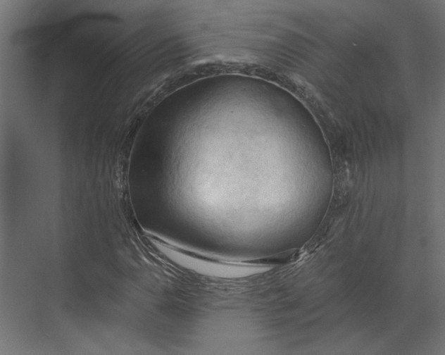 X0000073411110200608181048