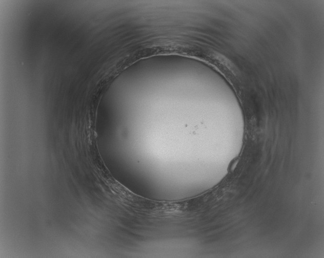 X0000073411111200608181048