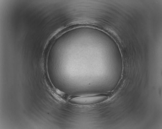 X0000073411114200608181048